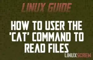 cat Command Linux Bash