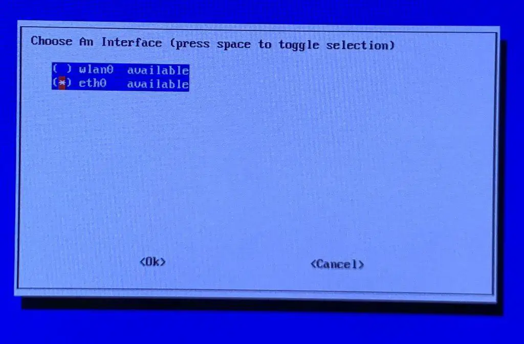 When selecting which network interface Pi-Hole will run on, make sure you select the same one you configured your static IP address on.