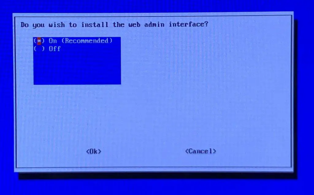 Enable the option to install the web interface, it's useful.