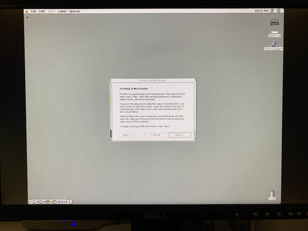 The Netscape configuration screen